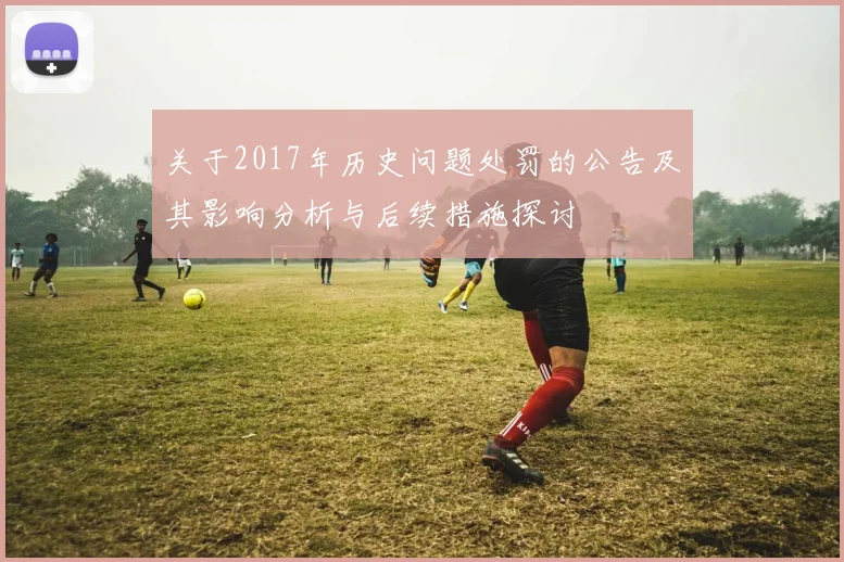 关于2017年历史问题处罚的公告及其影响分析与后续措施探讨