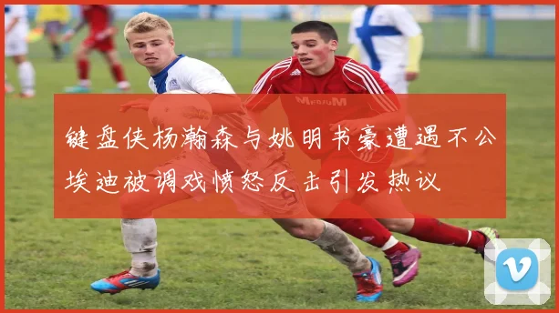键盘侠杨瀚森与姚明书豪遭遇不公埃迪被调戏愤怒反击引发热议